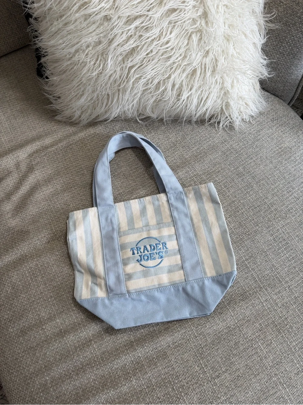 NWOT Trader Joe’s Mini Tote Bag- Blue Stripe